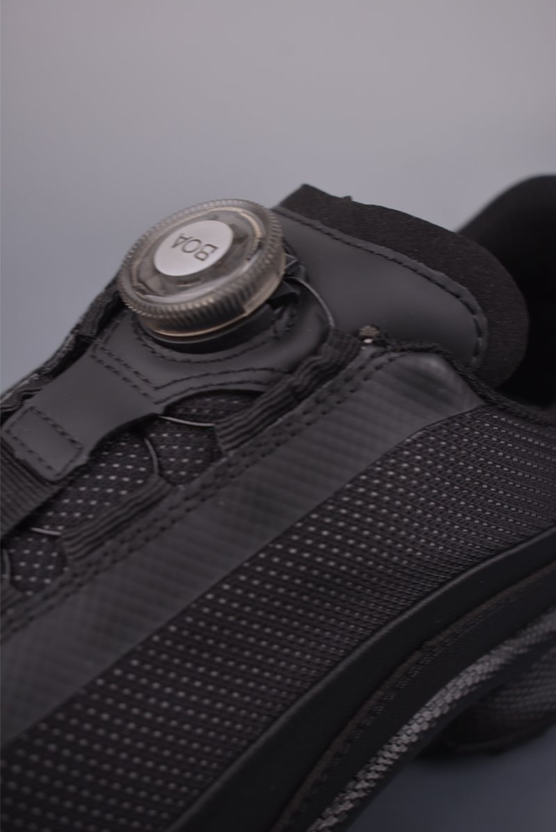 ECCO Biom view