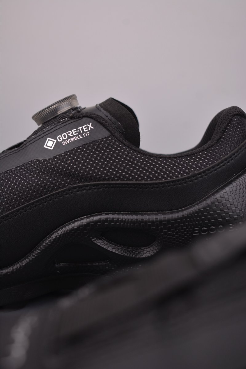 ECCO Biom view