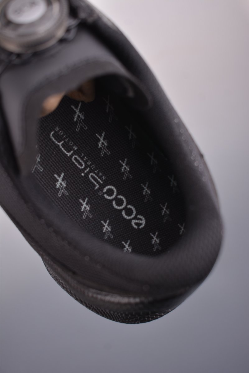 ECCO Biom view