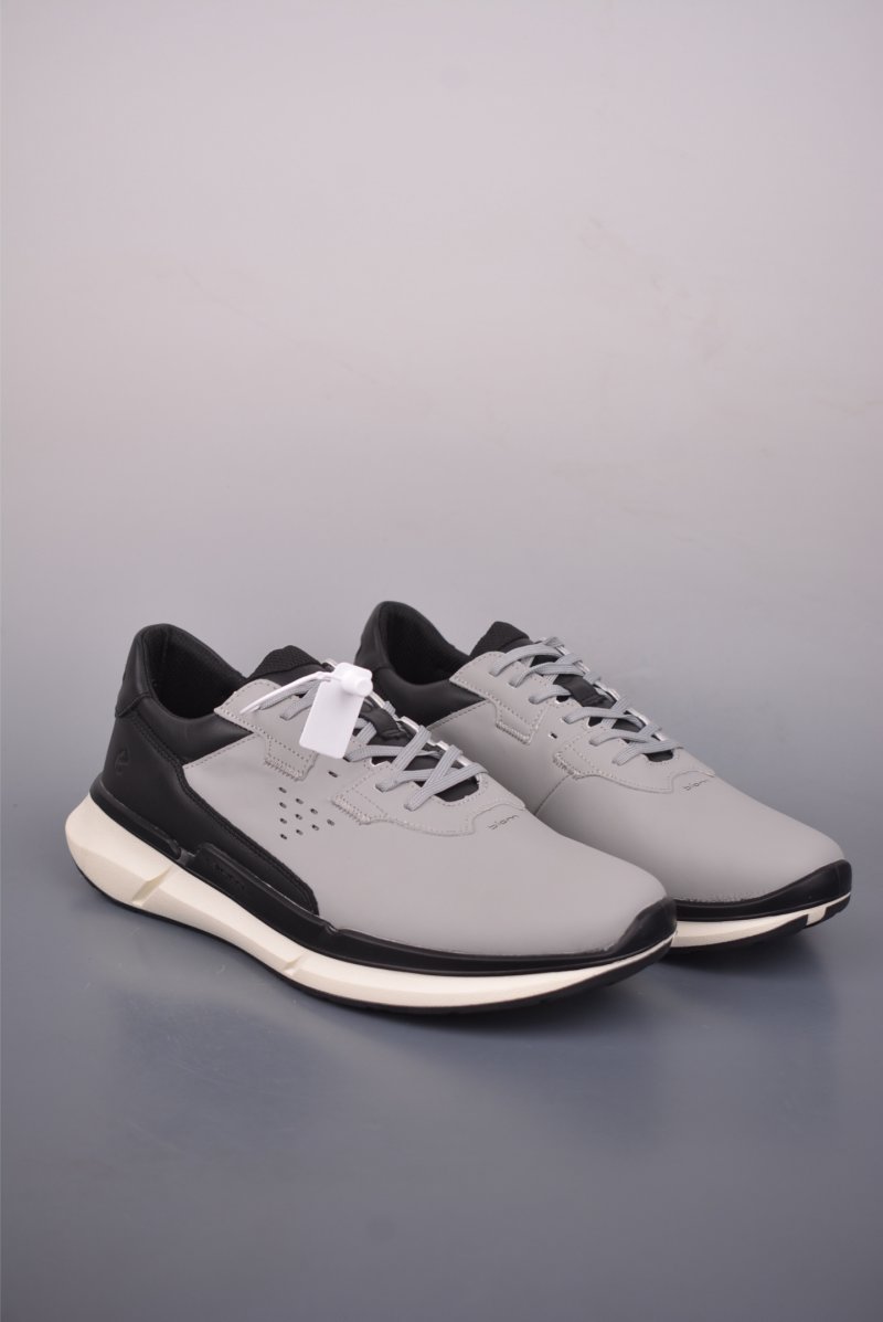 ECCO Biom