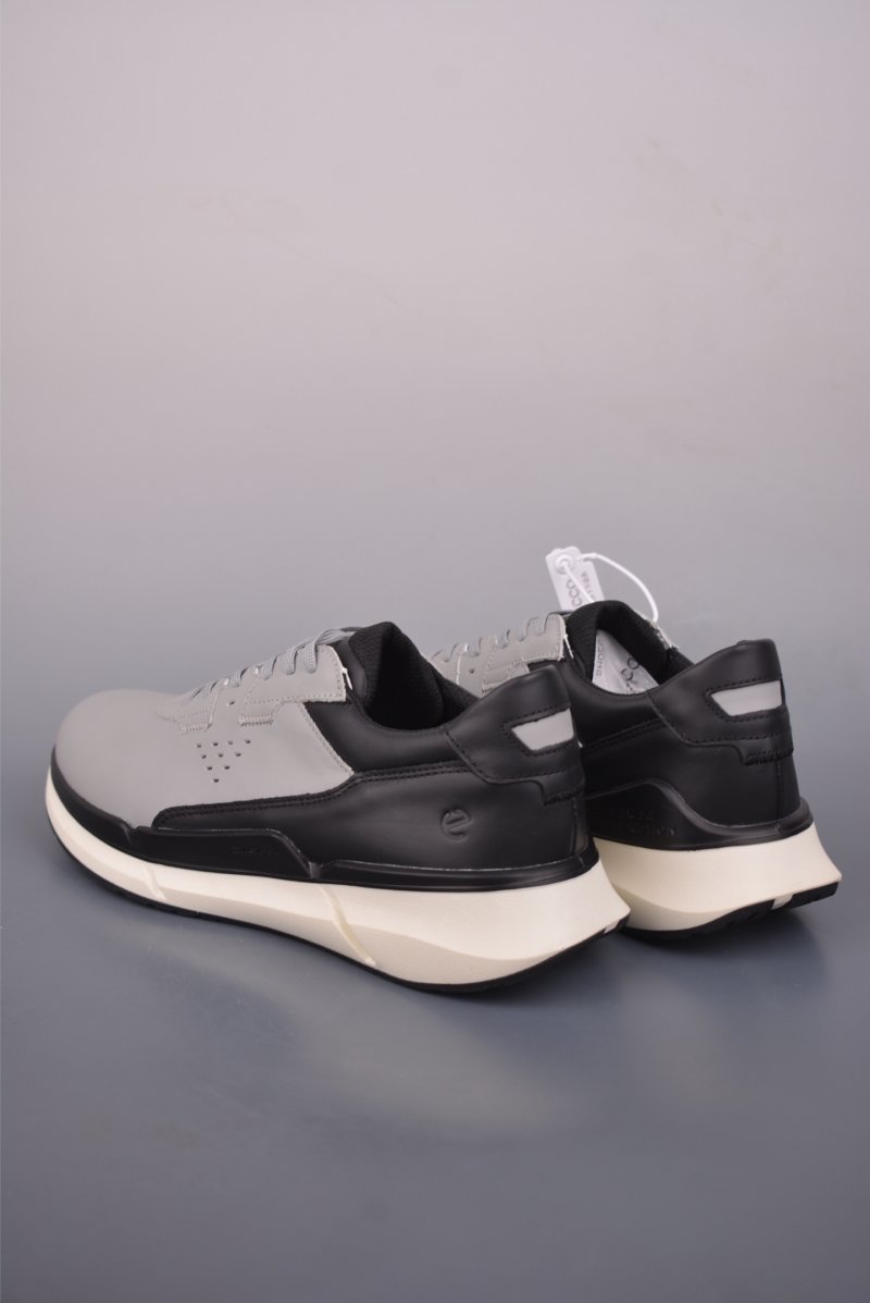 ECCO Biom view
