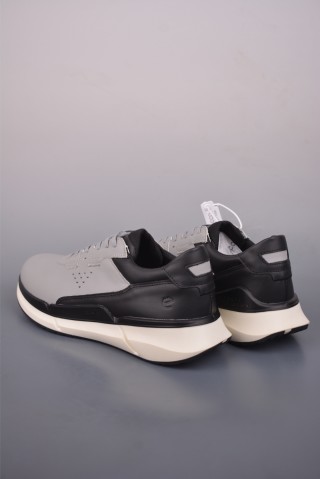 ECCO Biom view 2