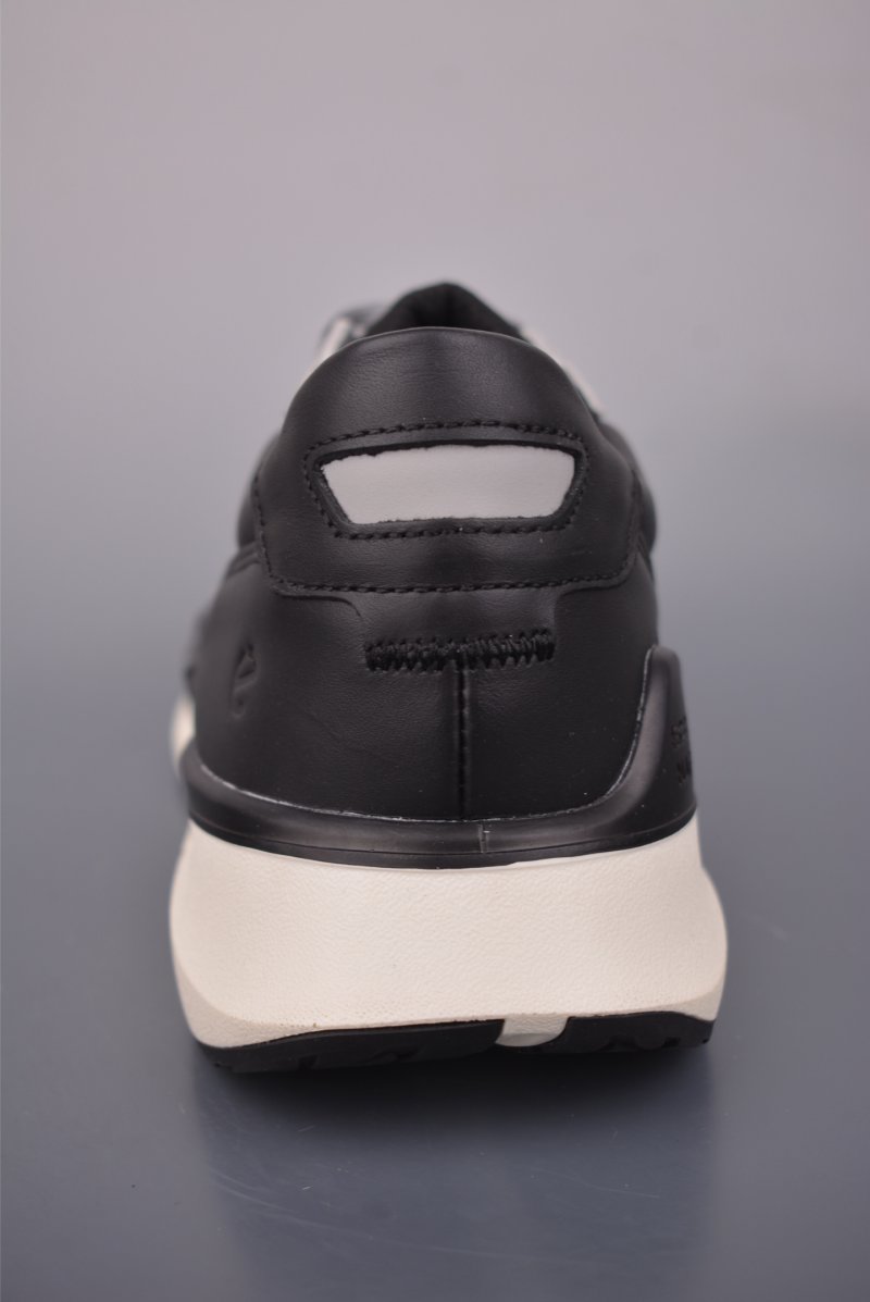 ECCO Biom view