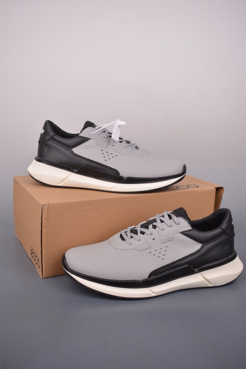 ECCO Biom view
