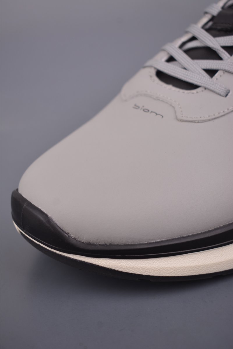 ECCO Biom view