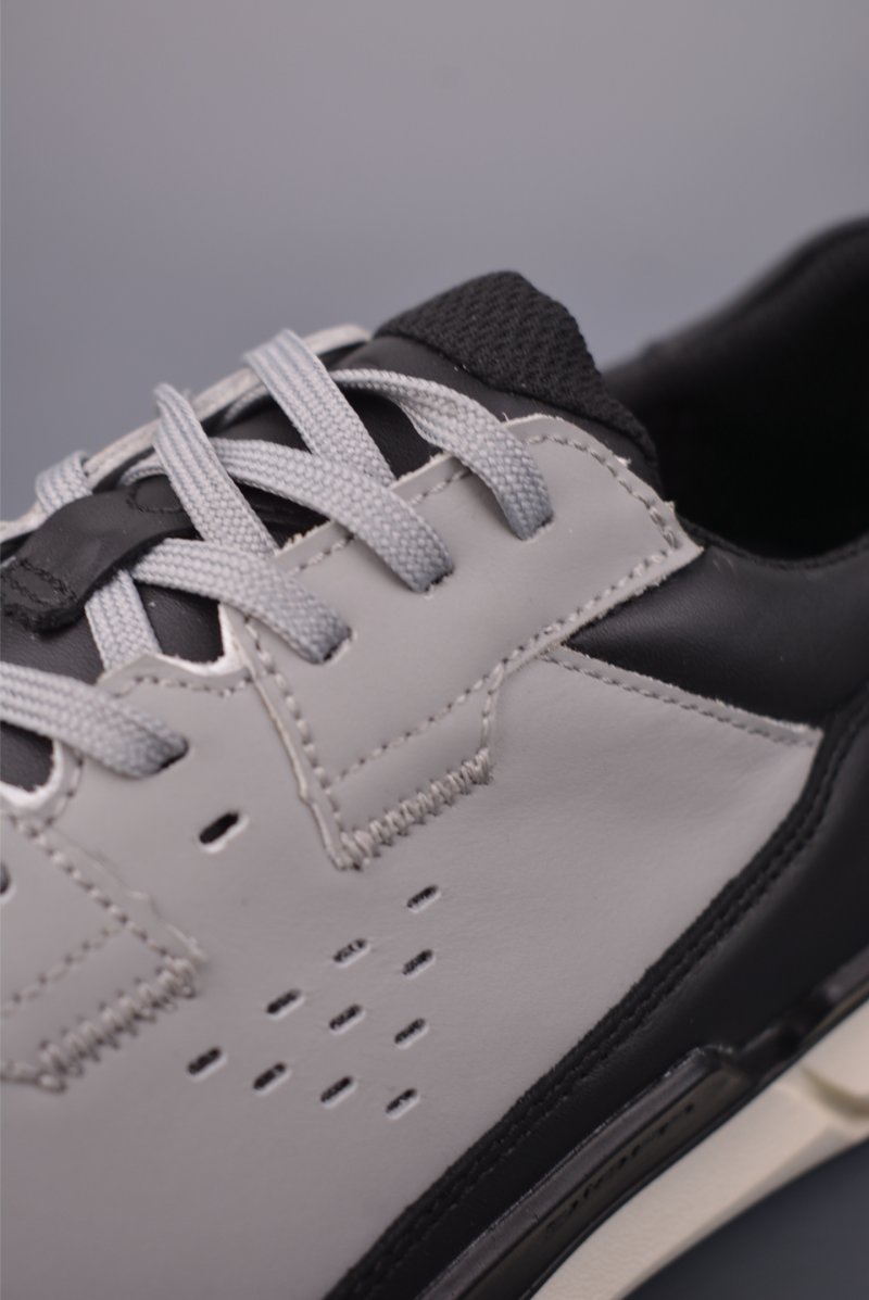 ECCO Biom view