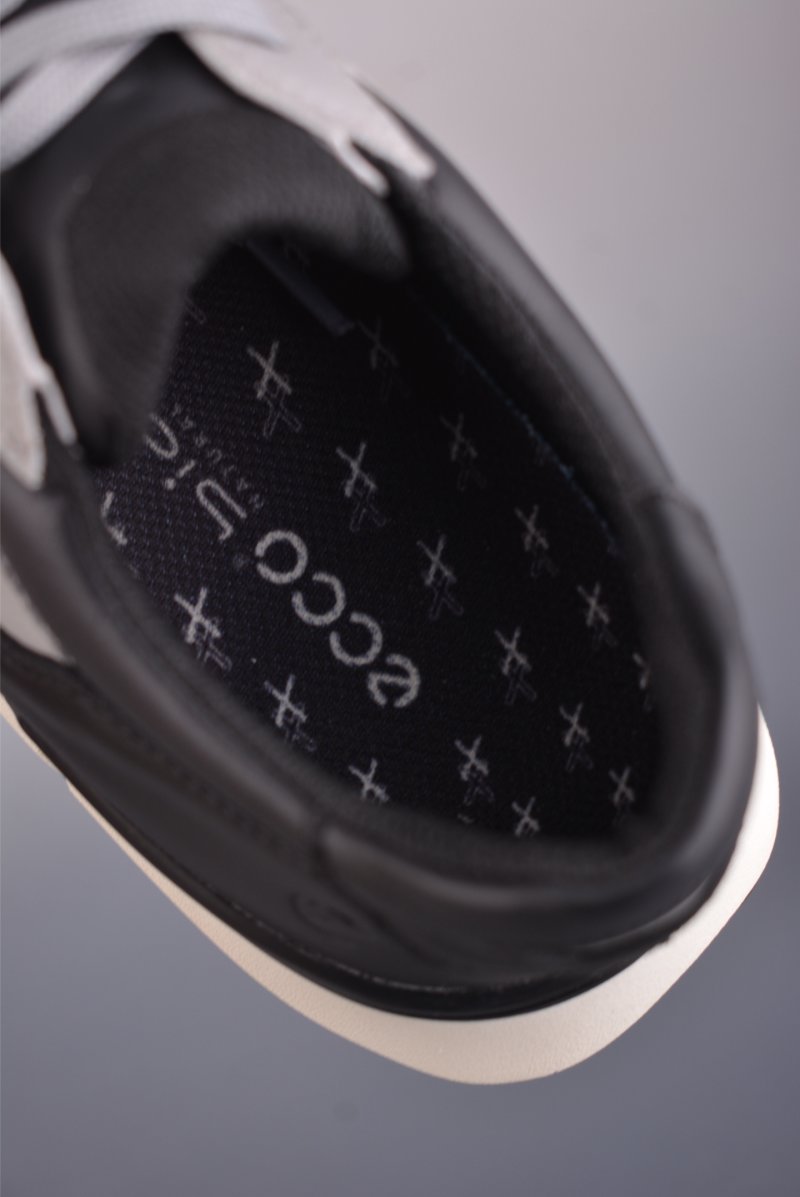 ECCO Biom view