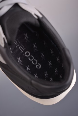 ECCO Biom view 9