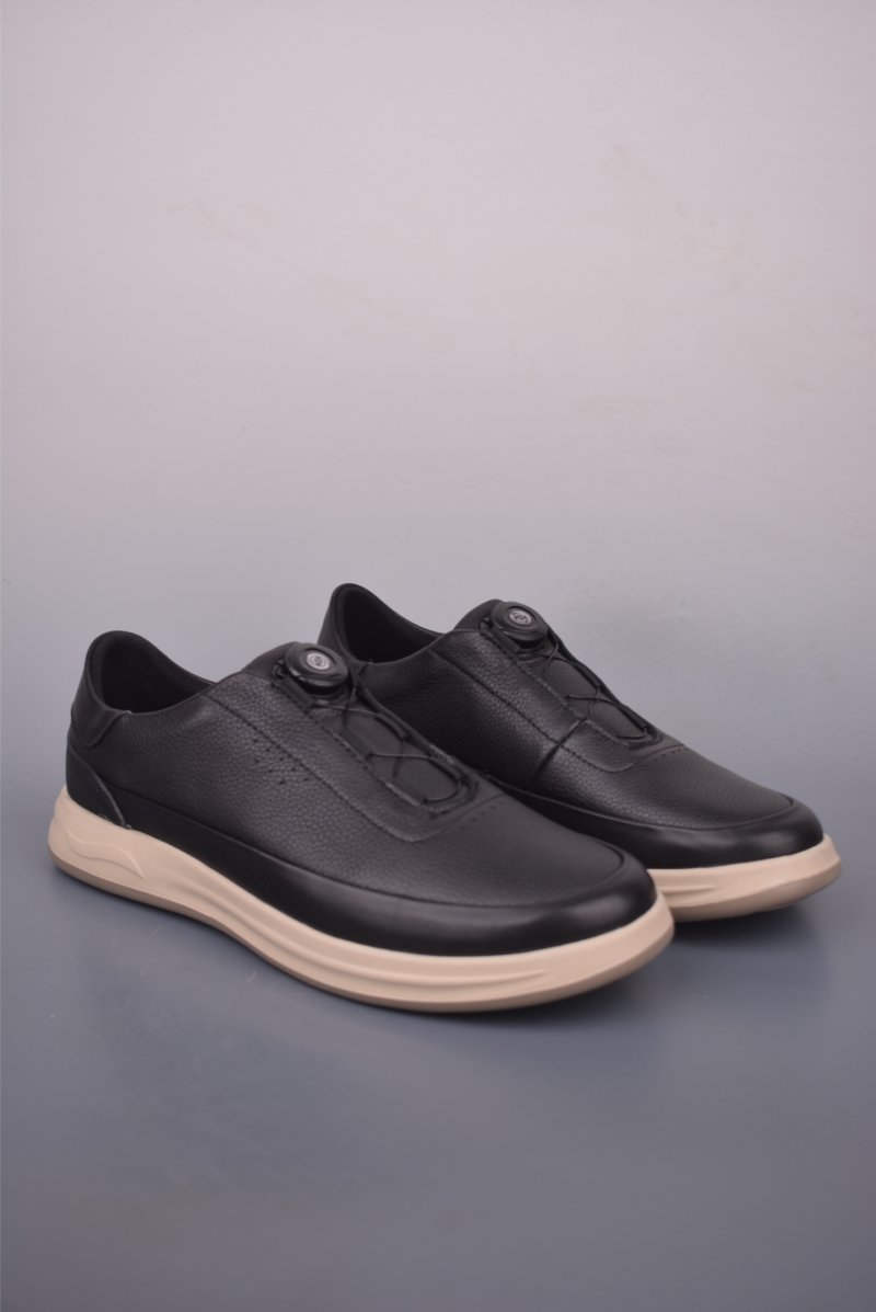 ECCO Biom