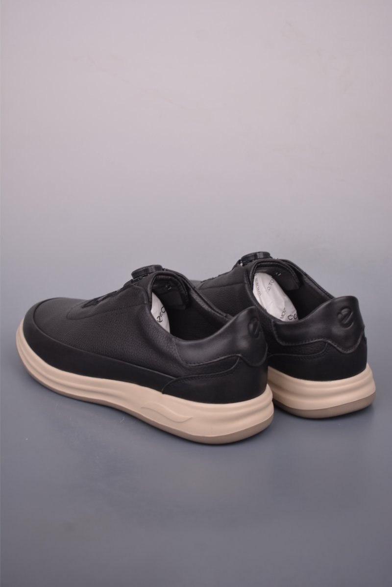 ECCO Biom view