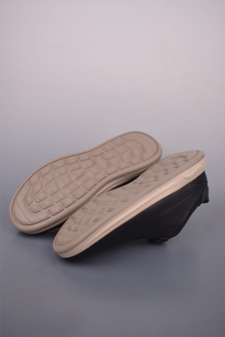 ECCO Biom view 3