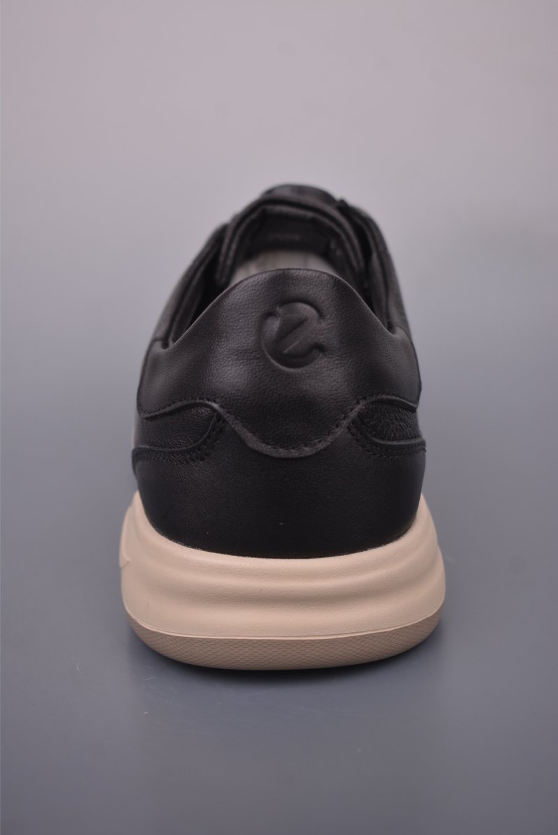 ECCO Biom view