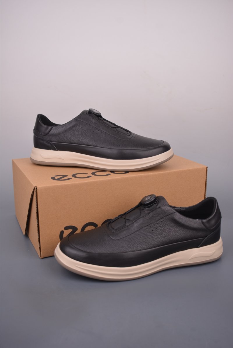 ECCO Biom view