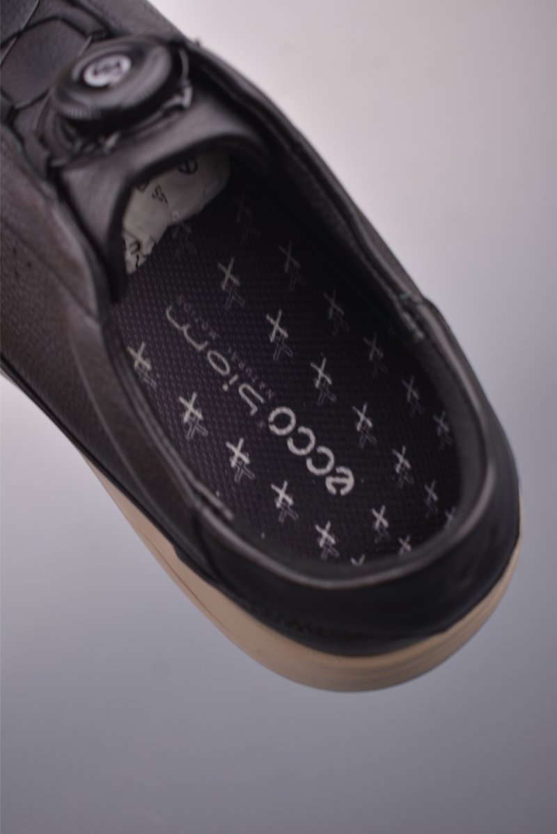 ECCO Biom view