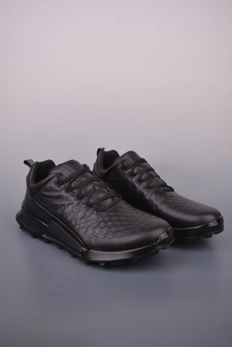 ECCO Biom