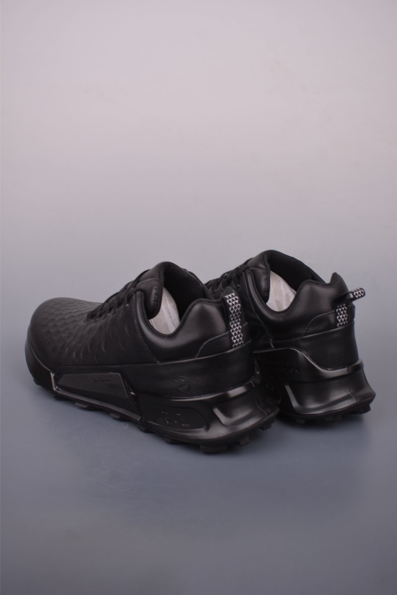 ECCO Biom view