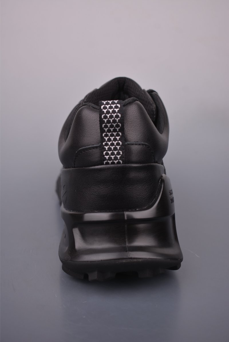 ECCO Biom view