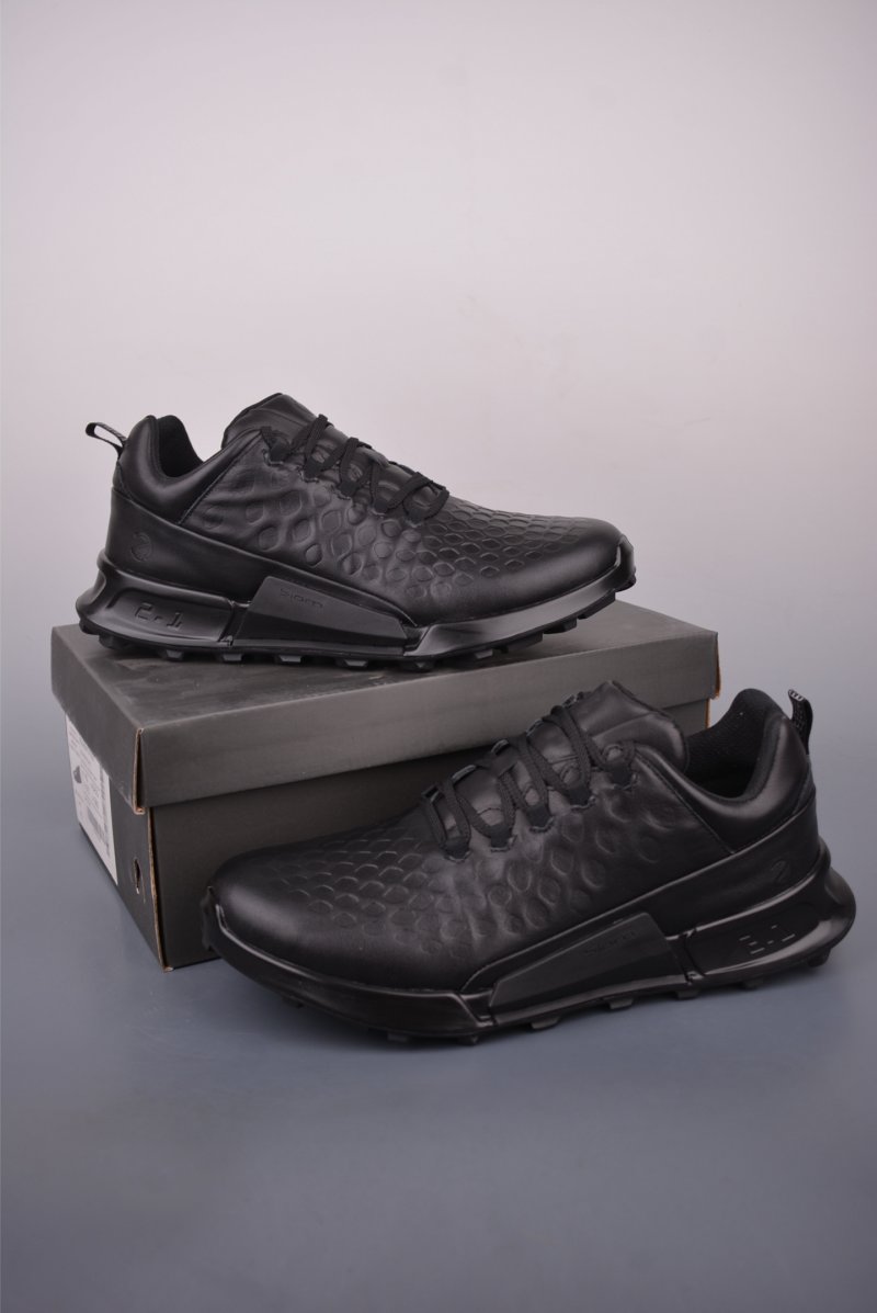 ECCO Biom view