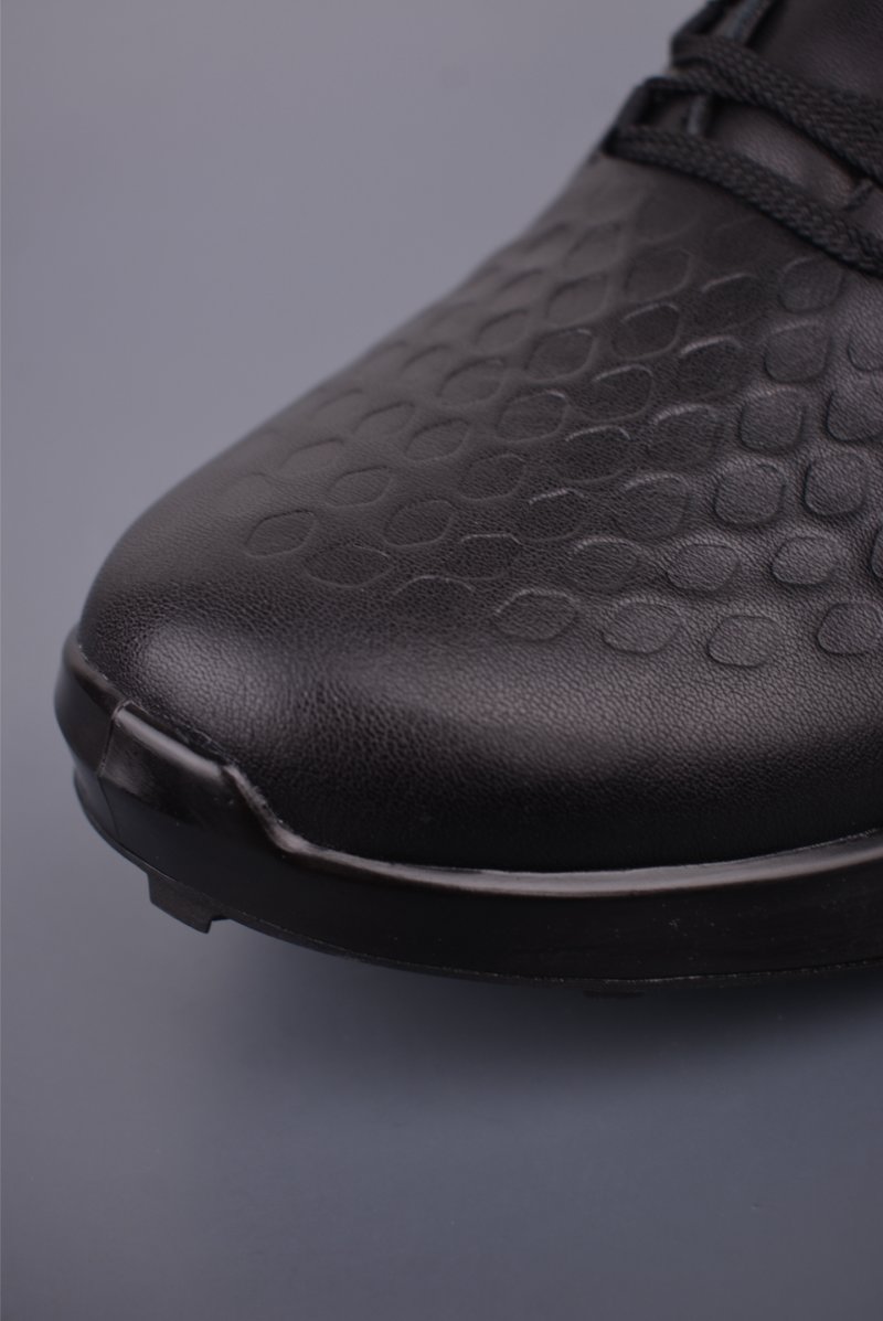 ECCO Biom view