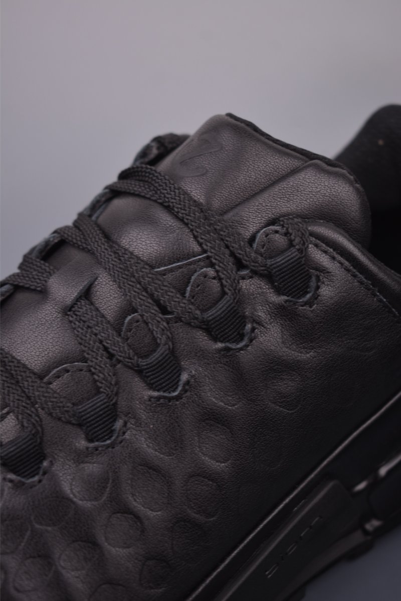 ECCO Biom view