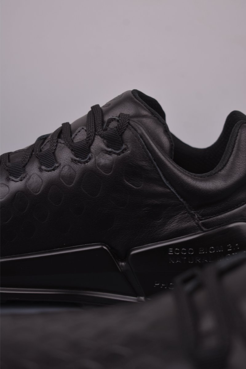ECCO Biom view