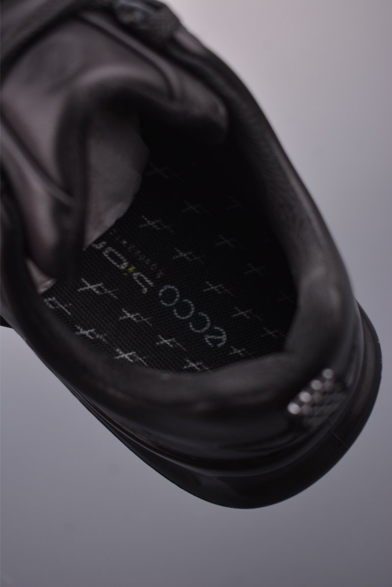 ECCO Biom view