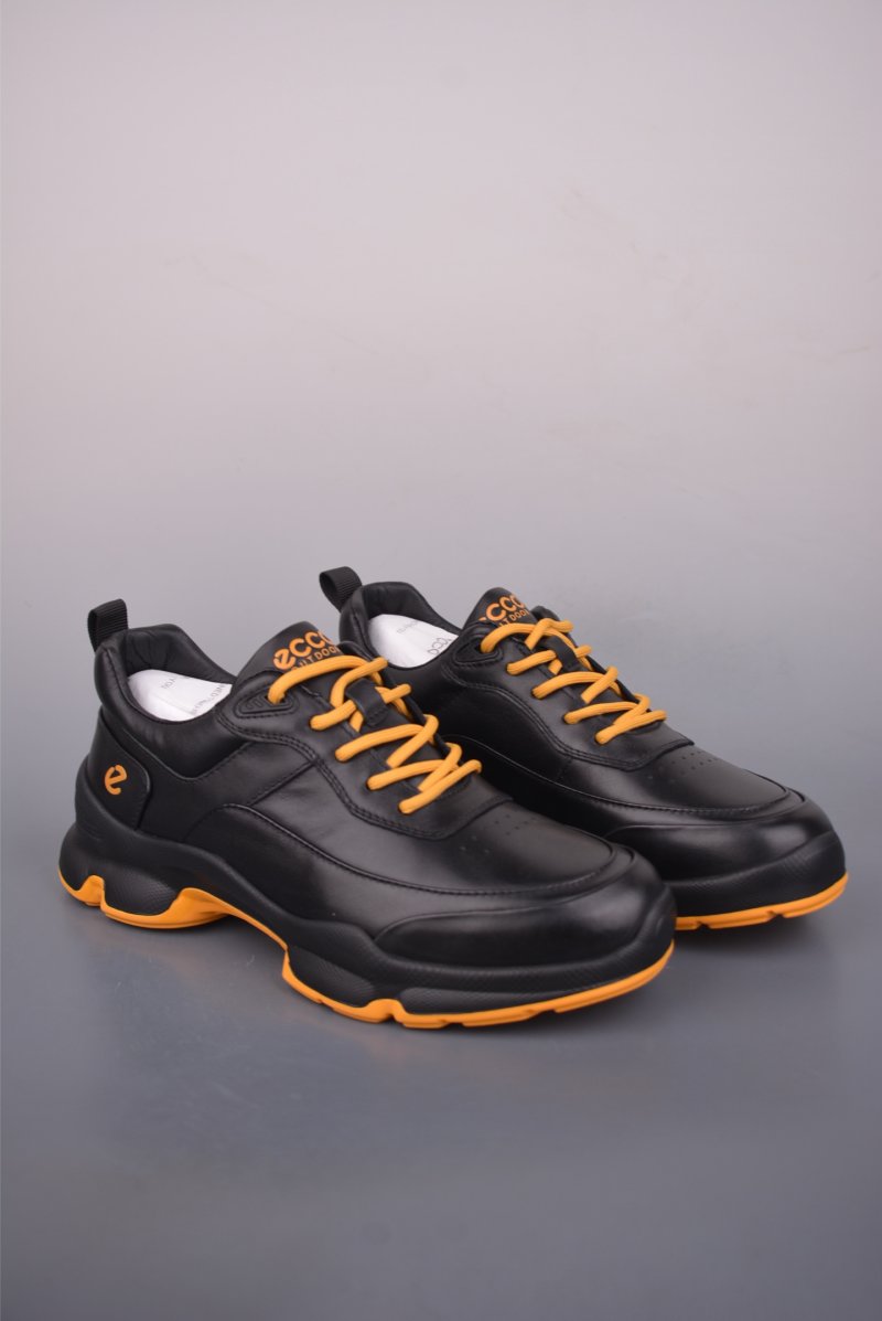 ECCO Biom