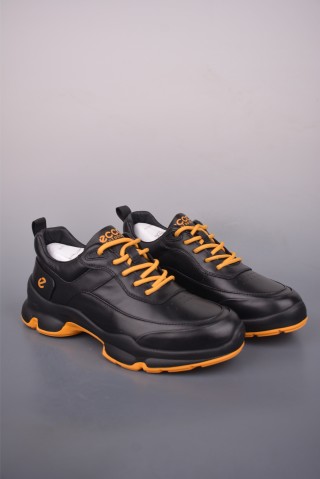 ECCO Biom view 1