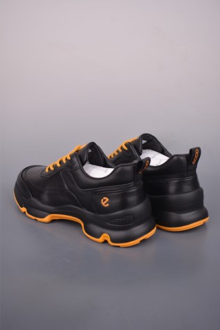 ECCO Biom view 2