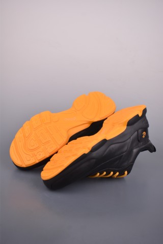 ECCO Biom view 3