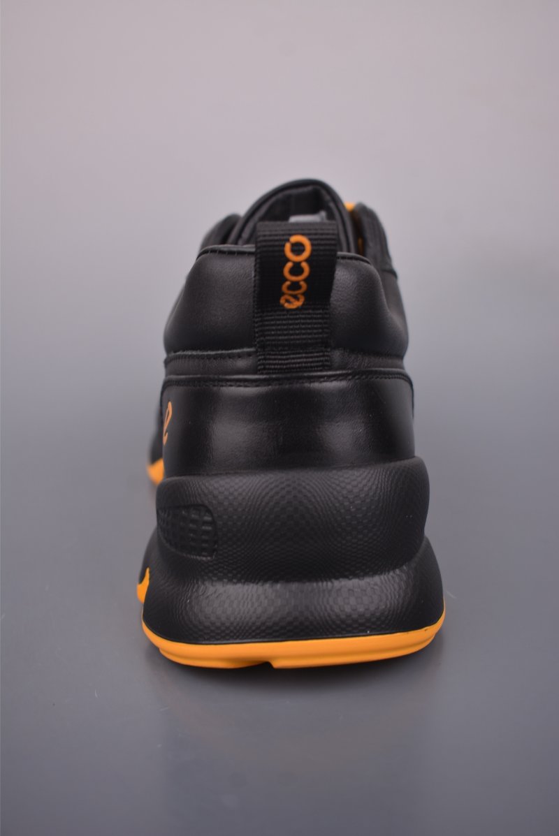 ECCO Biom view