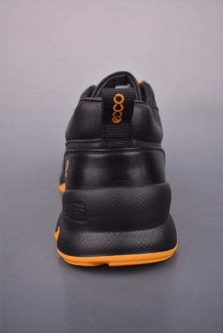 ECCO Biom view 4
