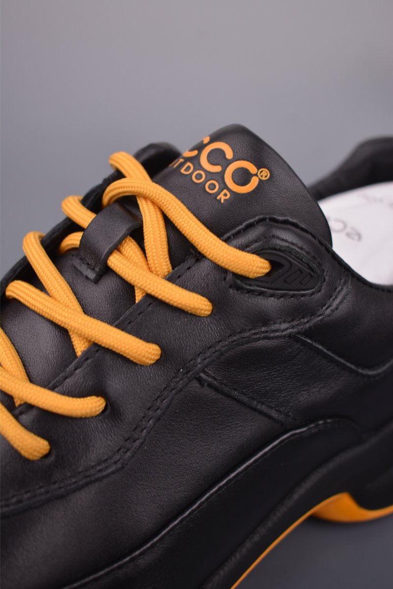 ECCO Biom view