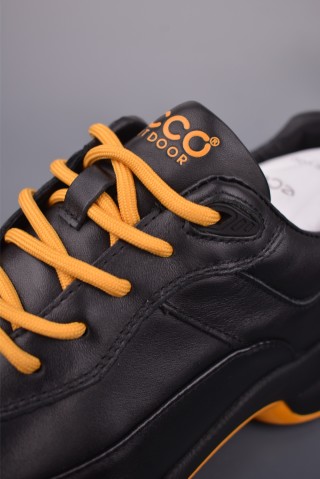 ECCO Biom view 7