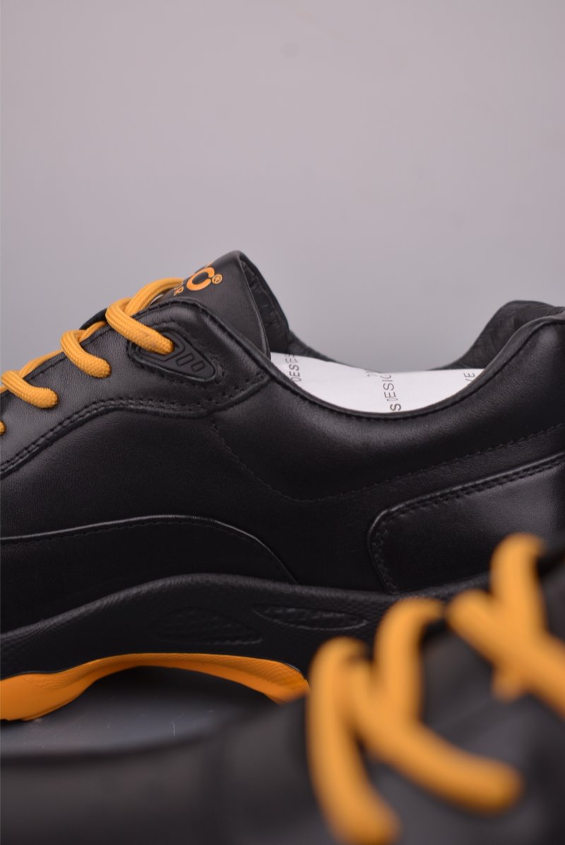 ECCO Biom view