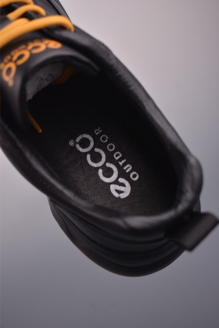 ECCO Biom view 9