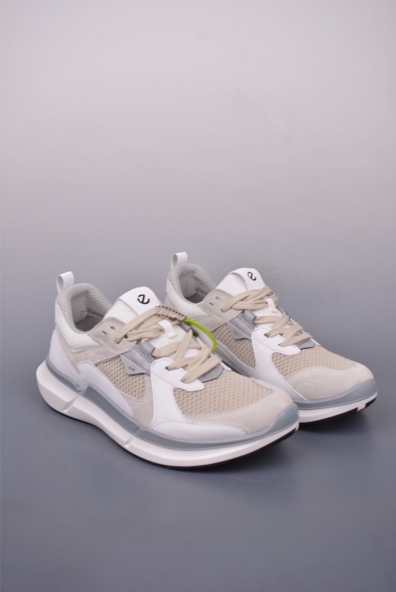ECCO Biom