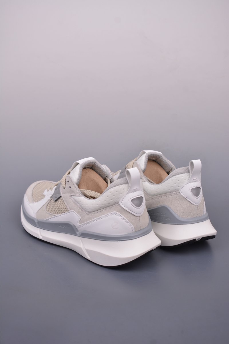 ECCO Biom view