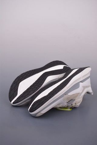 ECCO Biom view 3