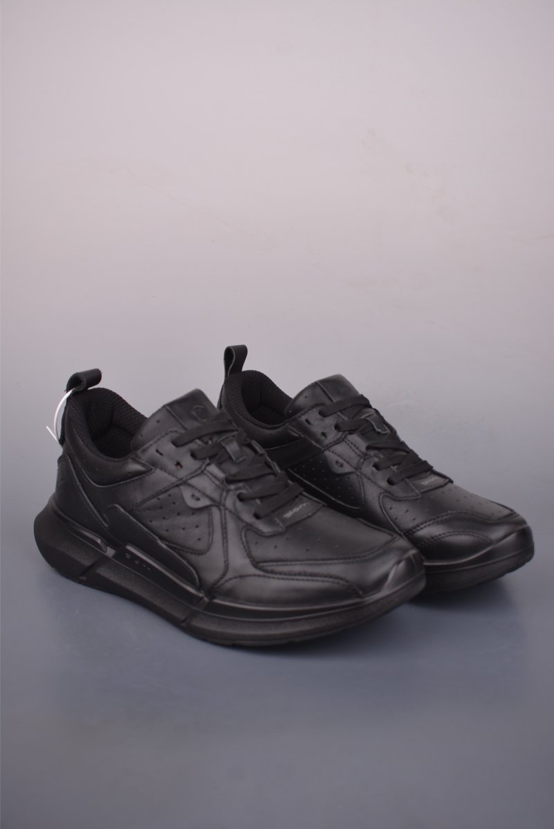 ECCO Biom
