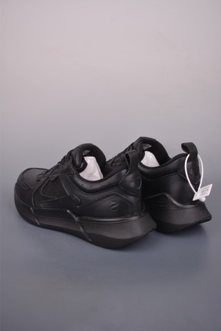 ECCO Biom view 2