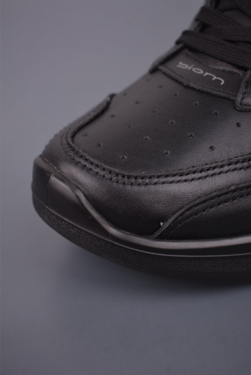 ECCO Biom view