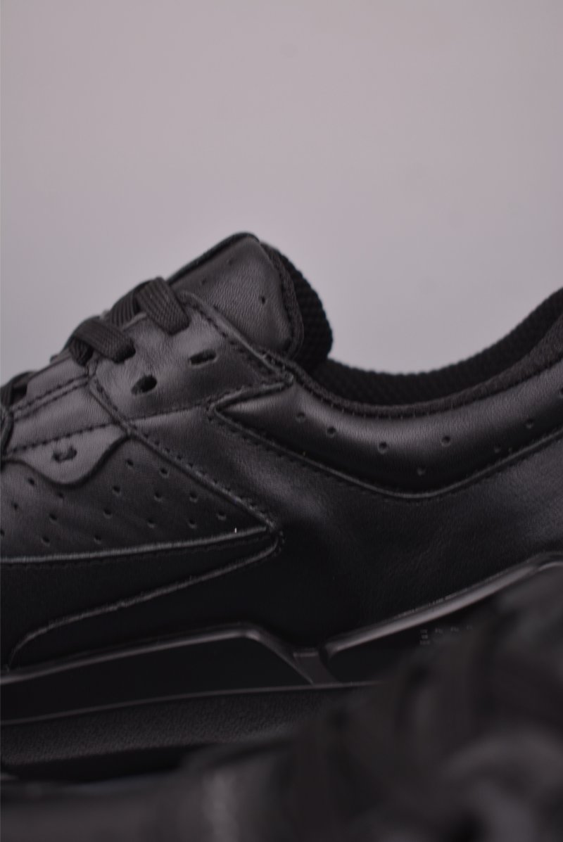 ECCO Biom view