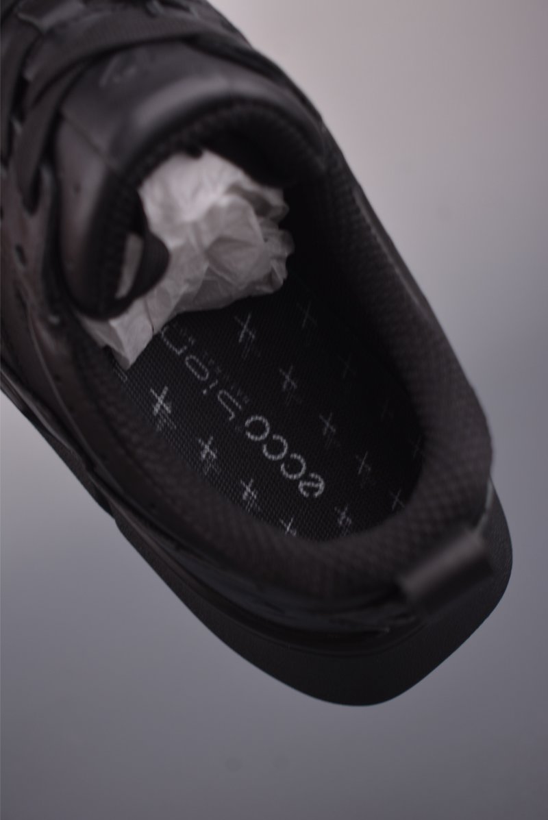 ECCO Biom view
