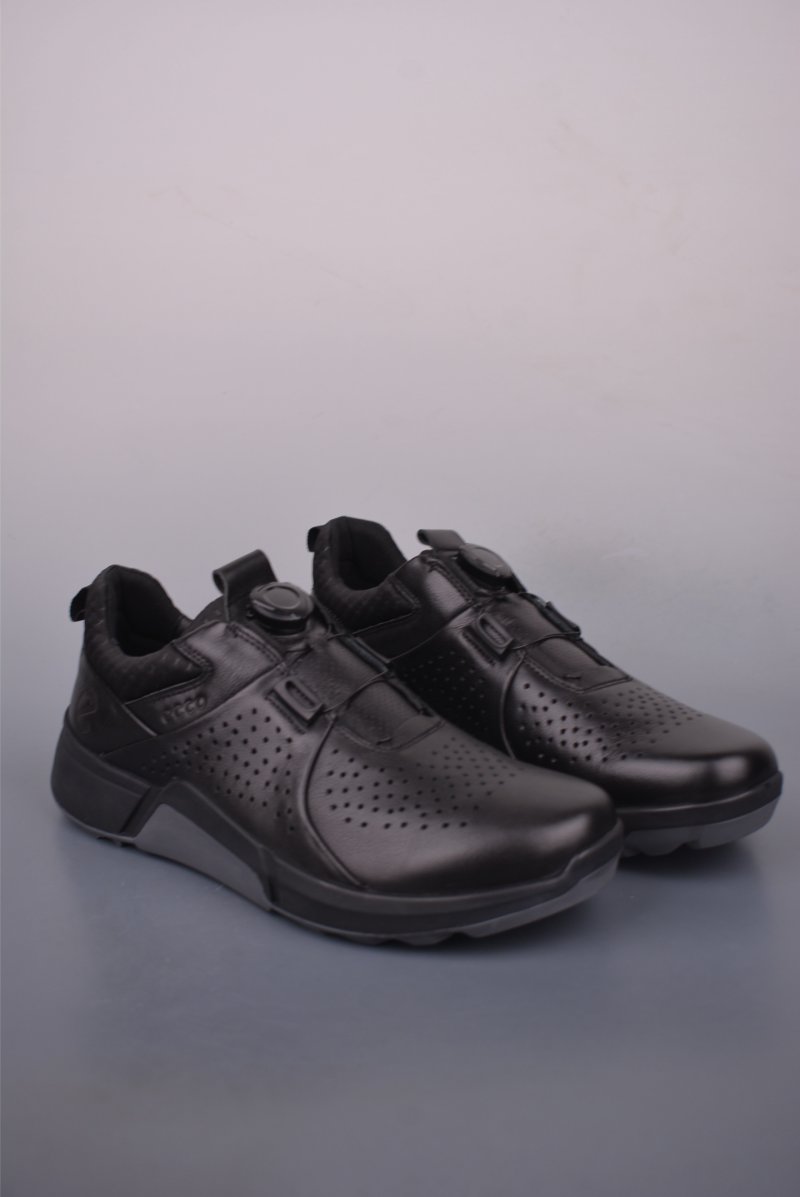 ECCO Biom