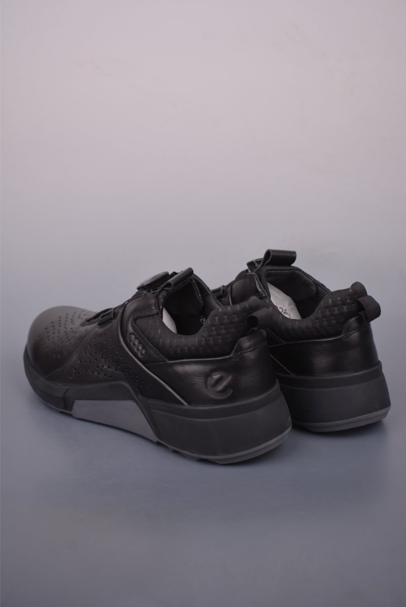 ECCO Biom view