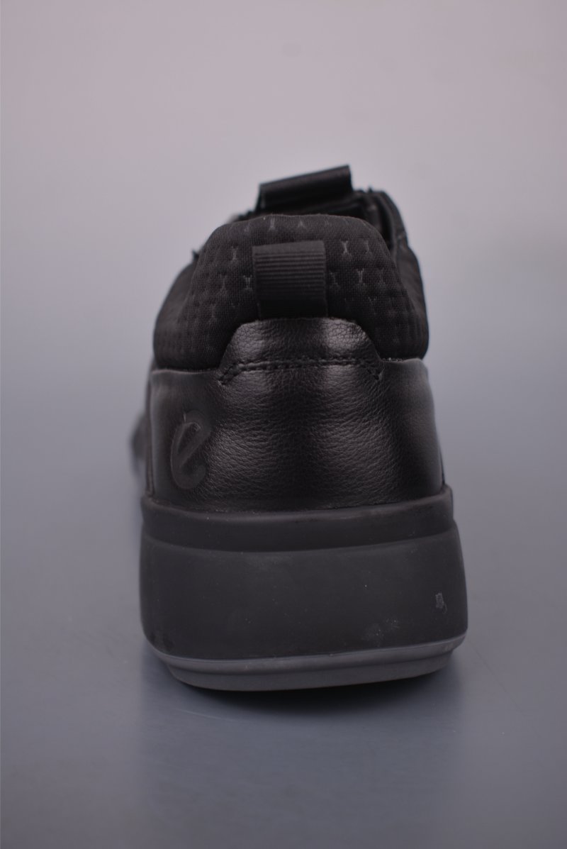 ECCO Biom view