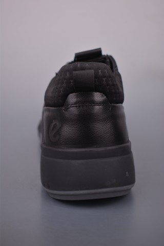 ECCO Biom view 4