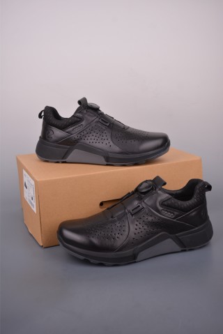 ECCO Biom view 5