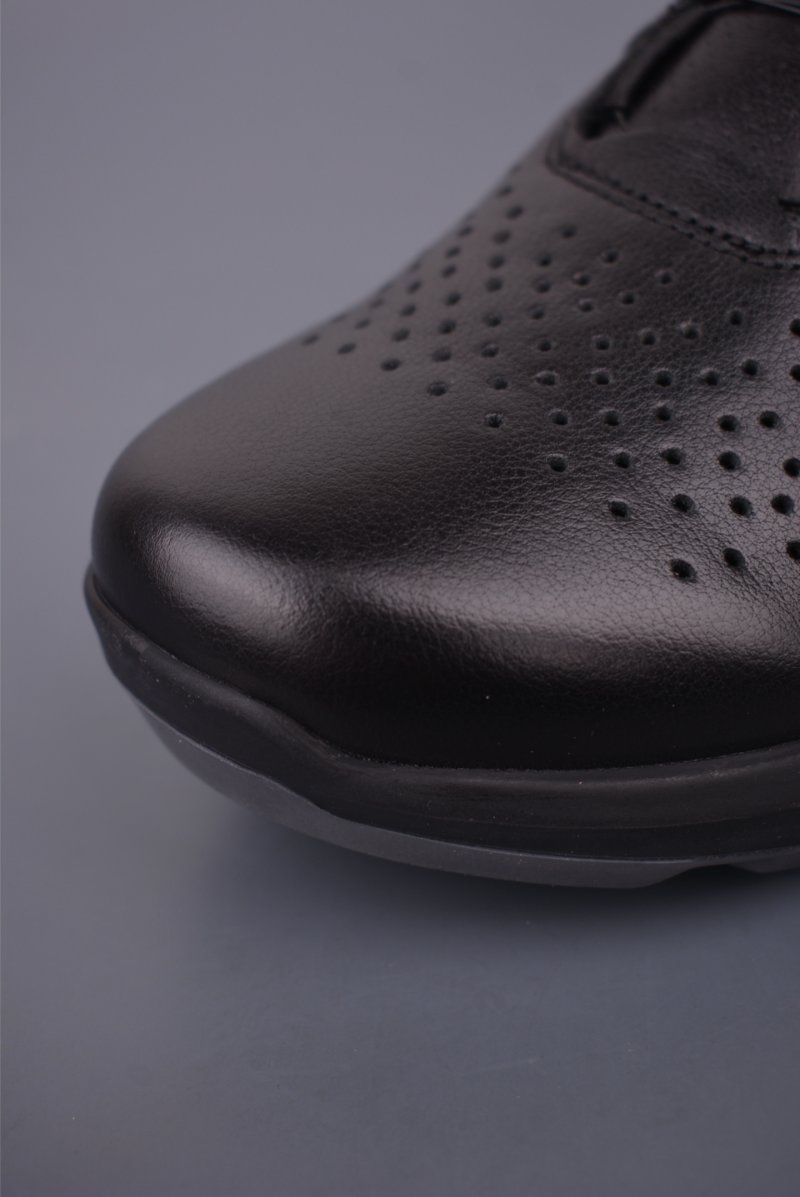 ECCO Biom view